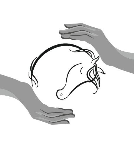 World Equestrian Protection Logo